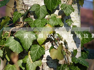 武汉借款免除律师位置 武汉借款免除律师位置