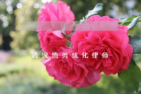 武汉债务优化律师 武汉债务优化律师