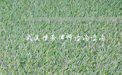 武汉债务律师咨询咨询 武汉债务律师咨询咨询