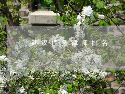 武汉债务律师排名 武汉债务律师排名