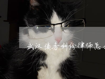 武汉债务纠纷律师怎么打 武汉债务纠纷律师怎么打