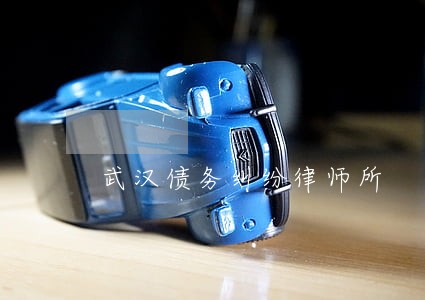 武汉债务纠纷律师所 武汉债务纠纷律师所