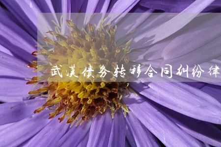 武汉债务转移合同纠纷律师 武汉债务转移合同纠纷律师