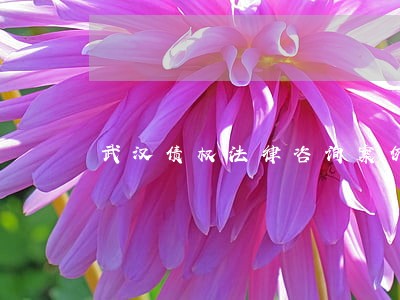武汉债权法律咨询案例 武汉债权法律咨询案例