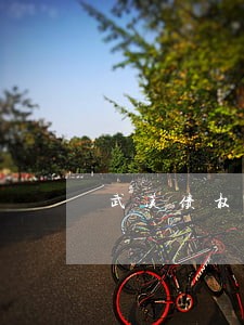 武汉债权法律咨询费用