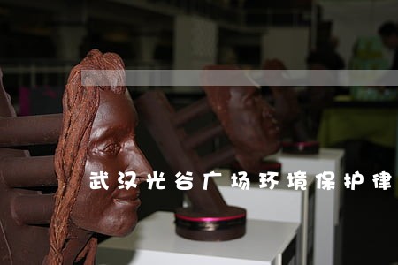 武汉光谷广场环境保护律师有名 武汉光谷广场环境保护律师有名