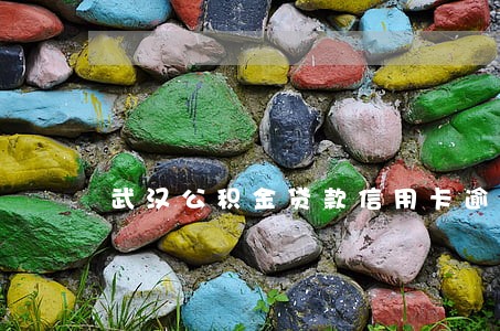 武汉公积金贷款信用卡逾期