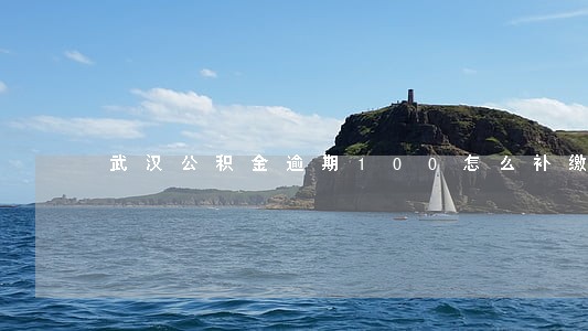 武汉公积金逾期100怎么补缴 武汉公积金逾期100怎么补缴