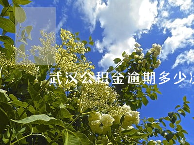 武汉公积金逾期多少次不能贷款 武汉公积金逾期多少次不能贷款