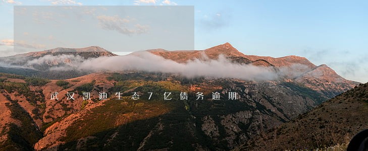 武汉凯迪生态7亿债务逾期 武汉凯迪生态7亿债务逾期