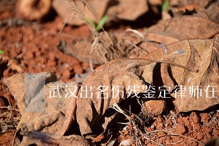 武汉出名伤残鉴定律师在哪里 武汉出名伤残鉴定律师在哪里