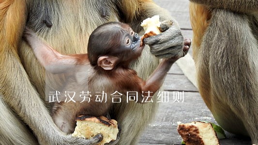 武汉劳动合同法细则 武汉劳动合同法细则