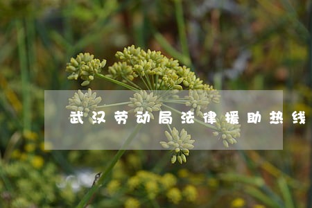 武汉劳动局法律援助热线 武汉劳动局法律援助热线