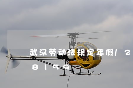 武汉劳动法规定年假/2023021148159 武汉劳动法规定年假/2023021148159