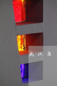 武汉医疗法律援助律师 武汉医疗法律援助律师