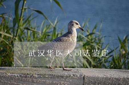 武汉华医大司法鉴定 武汉华医大司法鉴定