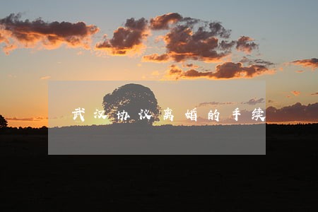 武汉协议离婚的手续 武汉协议离婚的手续