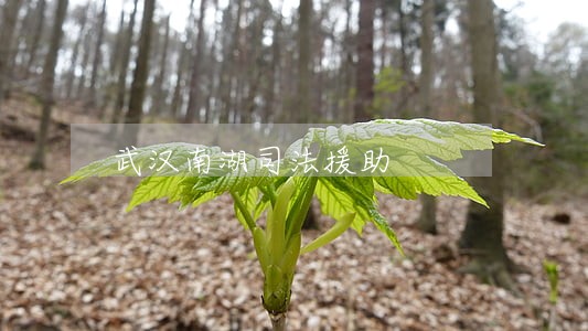 武汉南湖司法援助 武汉南湖司法援助