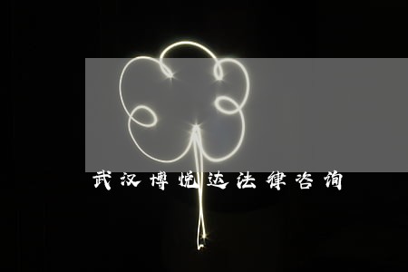 武汉博悦达法律咨询 武汉博悦达法律咨询