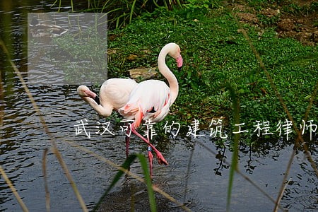 武汉可靠的建筑工程律师事务所 武汉可靠的建筑工程律师事务所