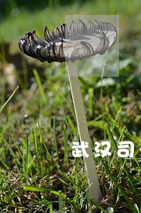 武汉司法拍卖房子 武汉司法拍卖房子