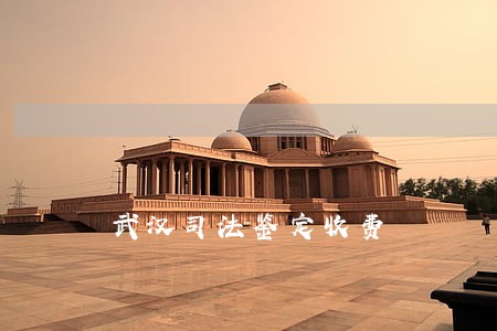 武汉司法鉴定收费 武汉司法鉴定收费