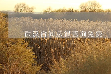武汉合同法律咨询免费 武汉合同法律咨询免费