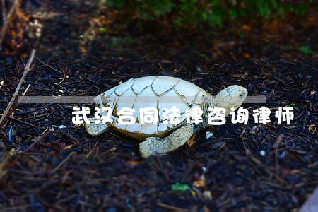 武汉合同法律咨询律师 武汉合同法律咨询律师