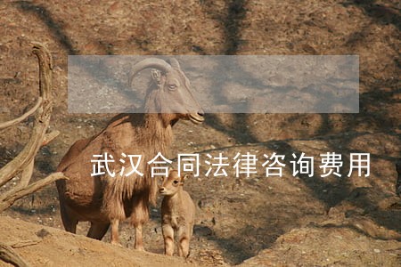 武汉合同法律咨询费用 武汉合同法律咨询费用