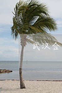 武汉合同纠纷律师团 武汉合同纠纷律师团