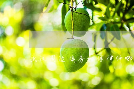 武汉周边债务担保律师哪个好 武汉周边债务担保律师哪个好