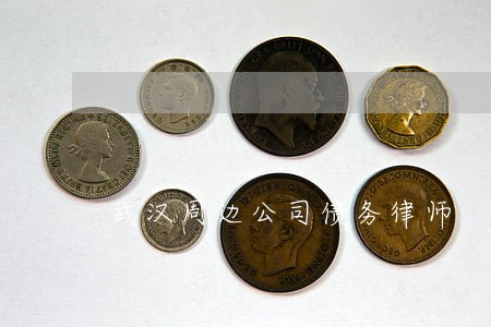 武汉周边公司债务律师 武汉周边公司债务律师