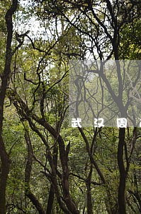 武汉周边商品房买卖合同律师 武汉周边商品房买卖合同律师