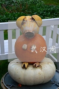 武汉周边婚姻家事律师网站 武汉周边婚姻家事律师网站
