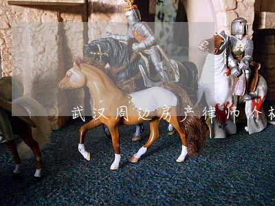 武汉周边房产律师价格