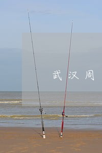 武汉周边江夏区债务担保律师 武汉周边江夏区债务担保律师