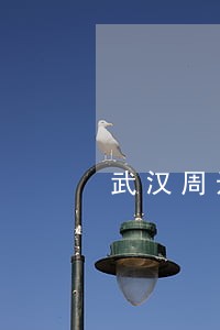 武汉周边江岸区债务纠纷律师