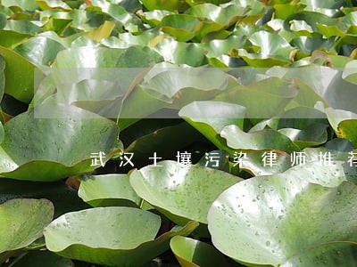 武汉土壤污染律师推荐 武汉土壤污染律师推荐