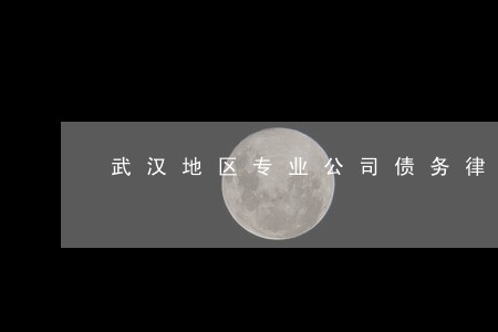 武汉地区专业公司债务律师 武汉地区专业公司债务律师