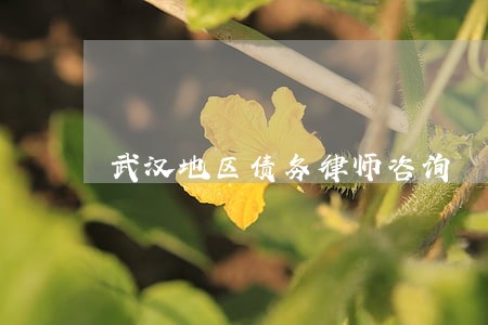 武汉地区债务律师咨询