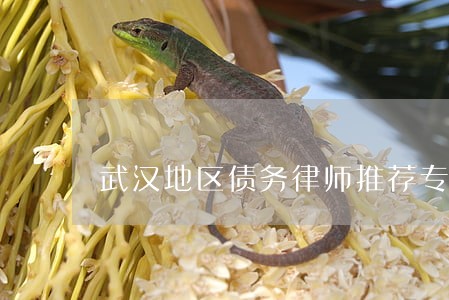 武汉地区债务律师推荐专业专注 武汉地区债务律师推荐专业专注