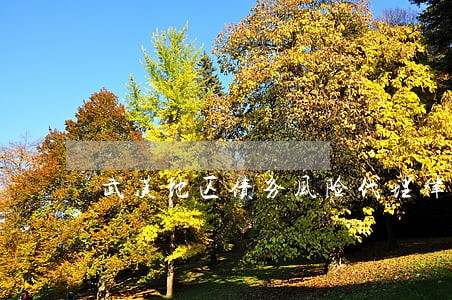 武汉地区债务风险代理律师选谁 武汉地区债务风险代理律师选谁