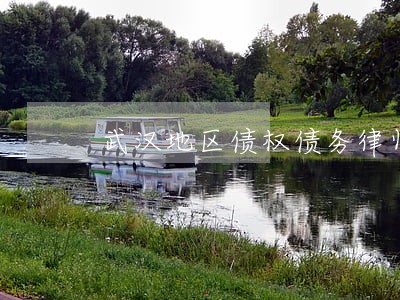 武汉地区债权债务律师推荐 武汉地区债权债务律师推荐