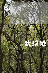 武汉地区公司债务纠纷律师哪个好 武汉地区公司债务纠纷律师哪个好
