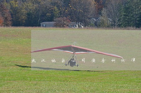 武汉地区公司债务纠纷律师诉讼费 武汉地区公司债务纠纷律师诉讼费
