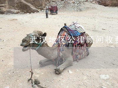 武汉地区公律顾问收费 武汉地区公律顾问收费