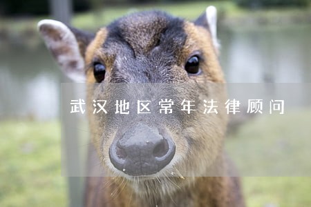 武汉地区常年法律顾问 武汉地区常年法律顾问