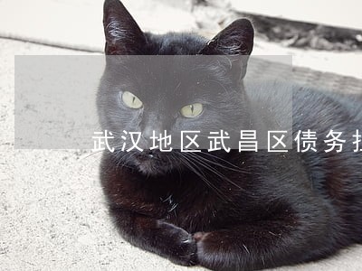 武汉地区武昌区债务担保律师 武汉地区武昌区债务担保律师