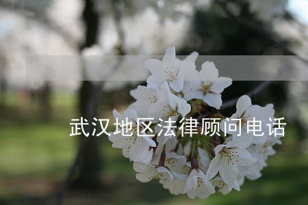 武汉地区法律顾问电话 武汉地区法律顾问电话