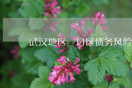 武汉地区硚口区债务风险代理律师 武汉地区硚口区债务风险代理律师